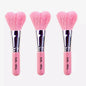 Dust Brush